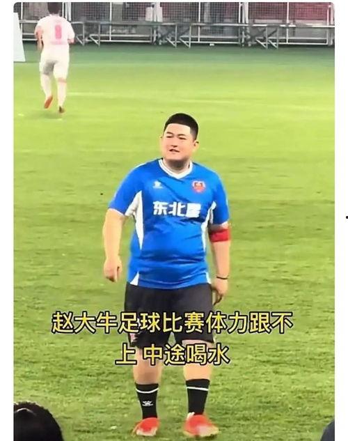 娱乐吃瓜酱明星踢球,明星足球场上的风采瞬间