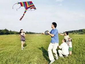 娱乐吃瓜酱风筝,揭秘娱乐圈背后的那些事儿